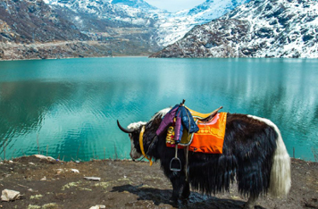 Sikkim tour package from gorakhpur